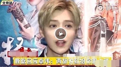 真实爆料鹿晗是谁啊视频,鹿晗身份之谜——真实爆料视频深度解析